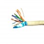 ftp-cat5e4p(2)-1000-1000